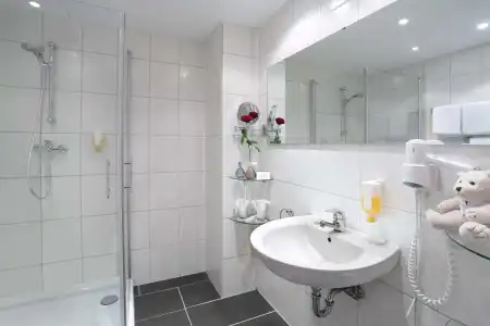 Best Western Rosenau - 8