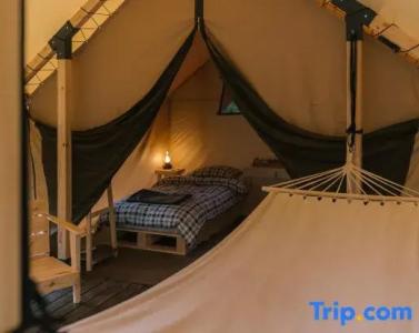 Charyn Canyon Camp - 43