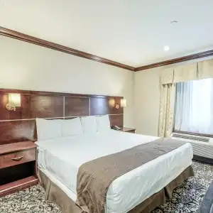 Woodbine and Suites - 27