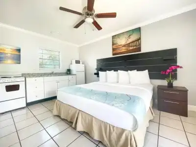Hollywood Beachs - 205