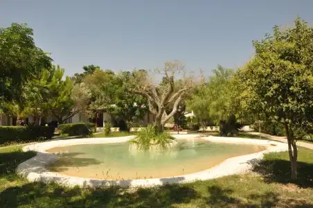 Villaggio Borgo degli Ulivi - 15