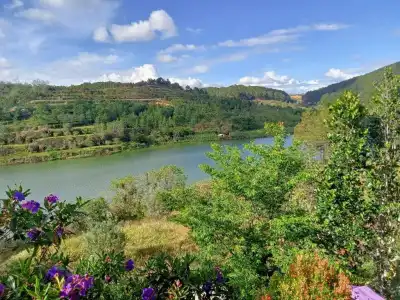 Zen Cafe Lakeside - 14