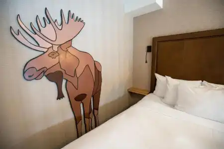 Moose And Suites - 62