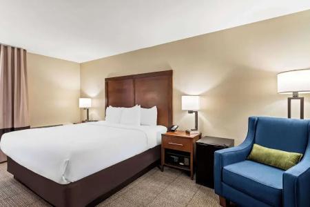 Comfort Inn & Suites Albuquerque Downtown - 44