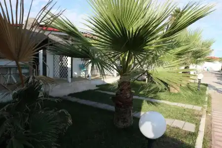 Torquemada Beach Club - 45