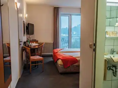 Wetzlarer Hof & Restaurant - 26