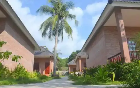 Rum Resort - 1