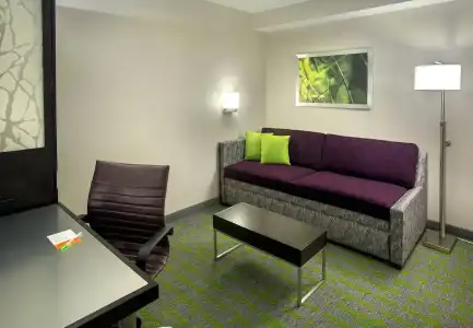 SpringHill Suites by Marriott New York Midtown Manhattan - 23