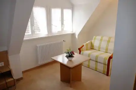 Flair Schwanen - 18