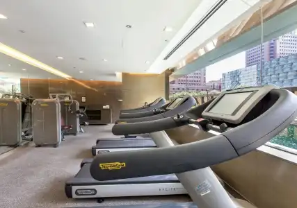 Pullman Singapore Orchard - 21