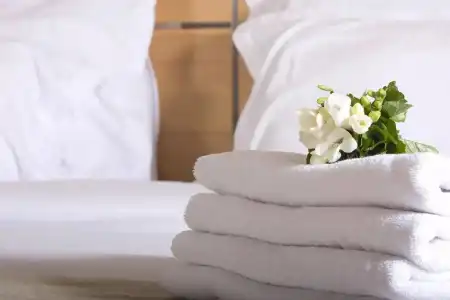 Swiss-Belinn - 14