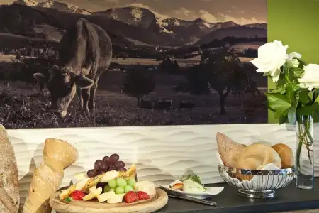 Alpenkönig - 11