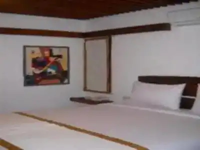 Flores Gallery - 0