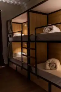 Hostel Nut - 30