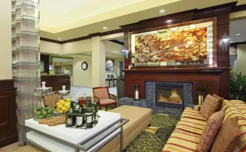 Hilton Garden Inn Sonoma County Airport - 11