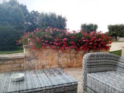 Masseria Cappuccini - 67