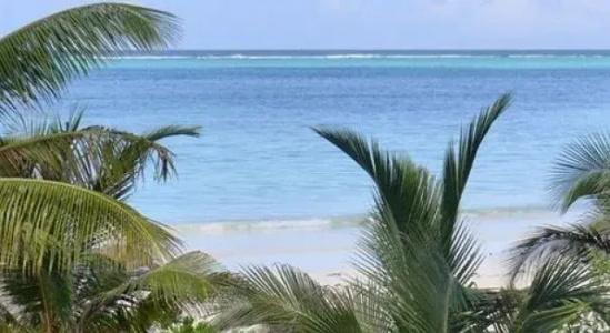 Next Paradise Boutique Resort - 35