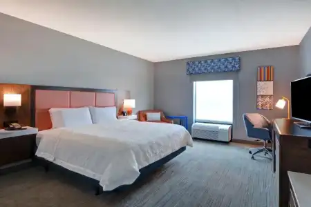 Hampton Inn & Suites Clearwater/St. Petersburg-Ulmerton Road, FL - 44