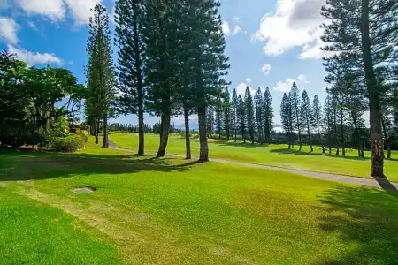 Kapalua Villas Maui - 228