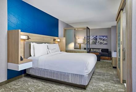 SpringHill Suites by Marriott Chicago Chinatown - 52