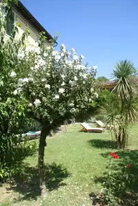 Ape Rosa Relais - 44