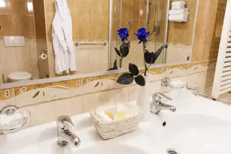 Modrá Ruže - 9