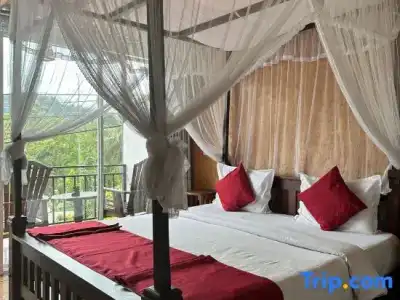 Nature Life Guest Inn - 32