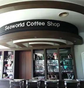 Seaworld - 21