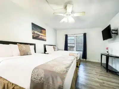 The Palms - 6