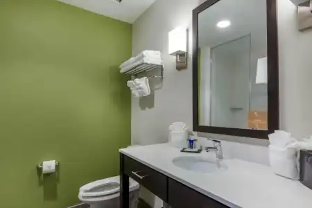 Sleep Inn & Suites Tampa South - 46