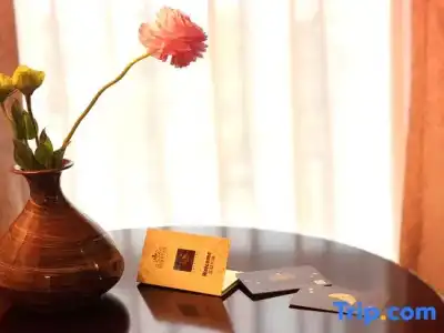 Sofis Jin Yuan - 105
