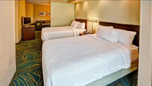 SpringHill Suites Marriott Norfolk Old Dominion University - 40