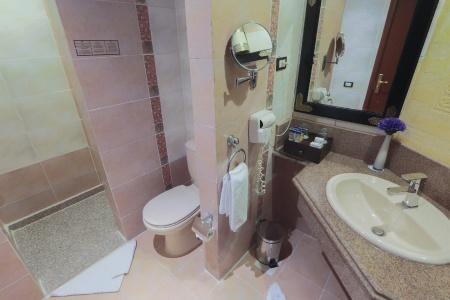 Pickalbatros Palace Resort - Hurghada - 47