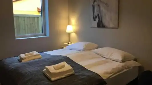 Reykjadalur Guesthouse - 50
