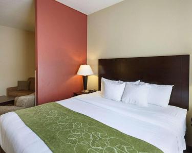 Comfort Suites Medical Center near Six Flags - 54