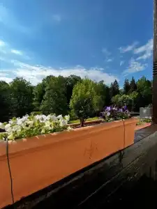 PARK VILLA zentral am Mittelrhein - 150