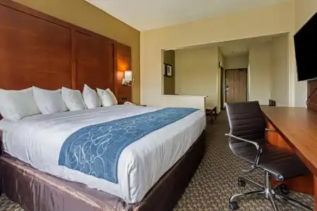 Comfort Suites University Las Cruces - 40