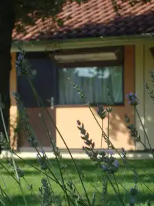 Résidence Thibaud - 10