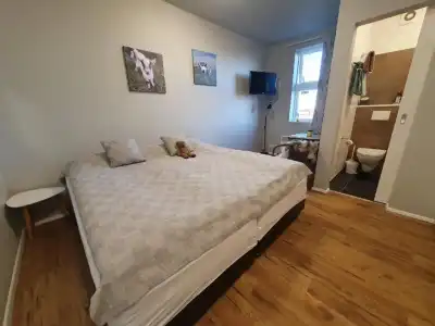 Skálatjörn Guesthouse - 73