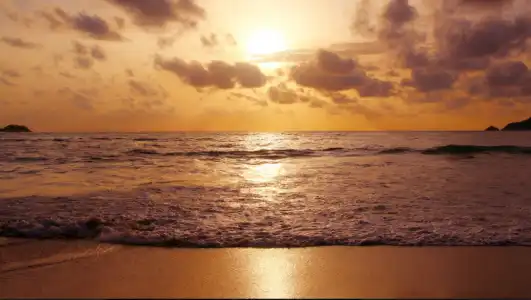 The Andaman Beach Phuket - SHA Extra Plus - 48