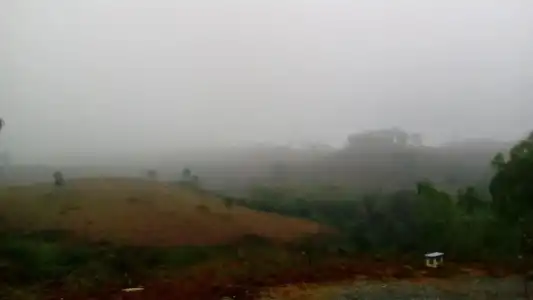 Lovely Farm - 35