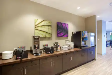 Sleep Inn & Suites Tampa South - 20