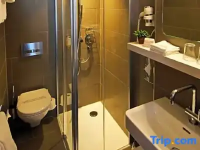 Best Western Plus Zürcherhof - 43