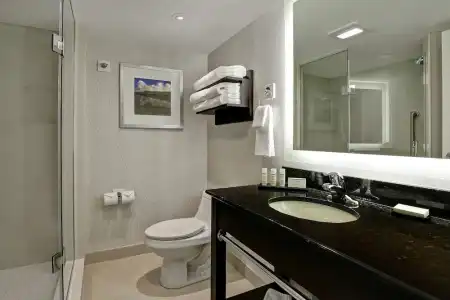 Hyatt Regency Niagara Falls Fallsview - 50