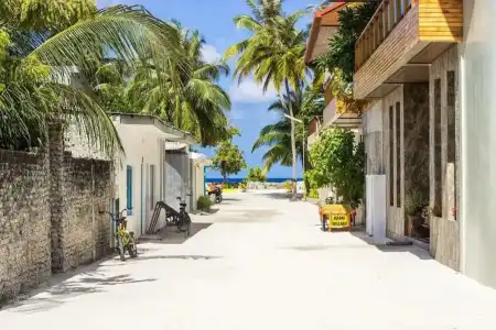 Coconut Tree Hulhuvilla Beach - 0