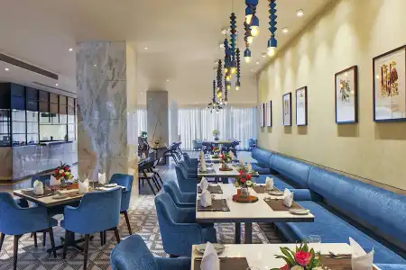Radisson Blu Mumbai International Airport - 22