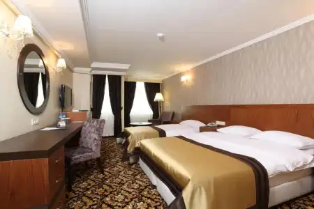 Arya Business Deluxe - 15