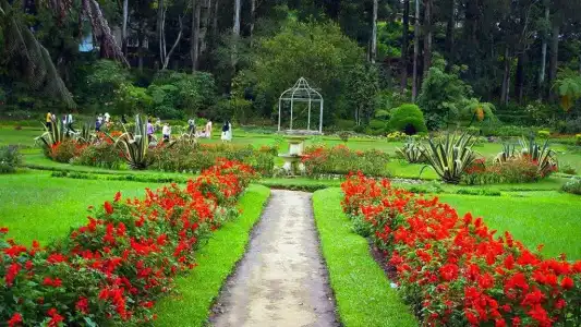 Panorama Green View - 53