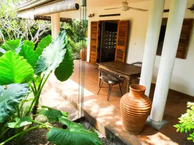 Little Tamarind - 100