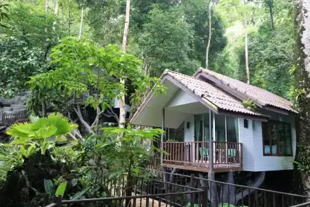 Rock And Treehouse Resort - 17